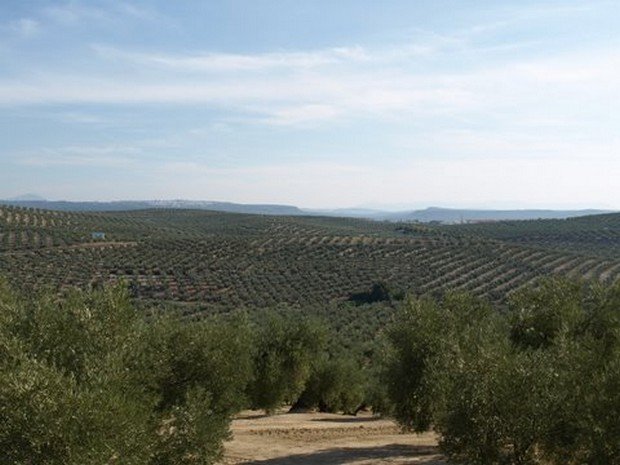 lopera 2009 - robert lample - 020